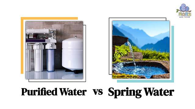 Purified Water vs Spring Water