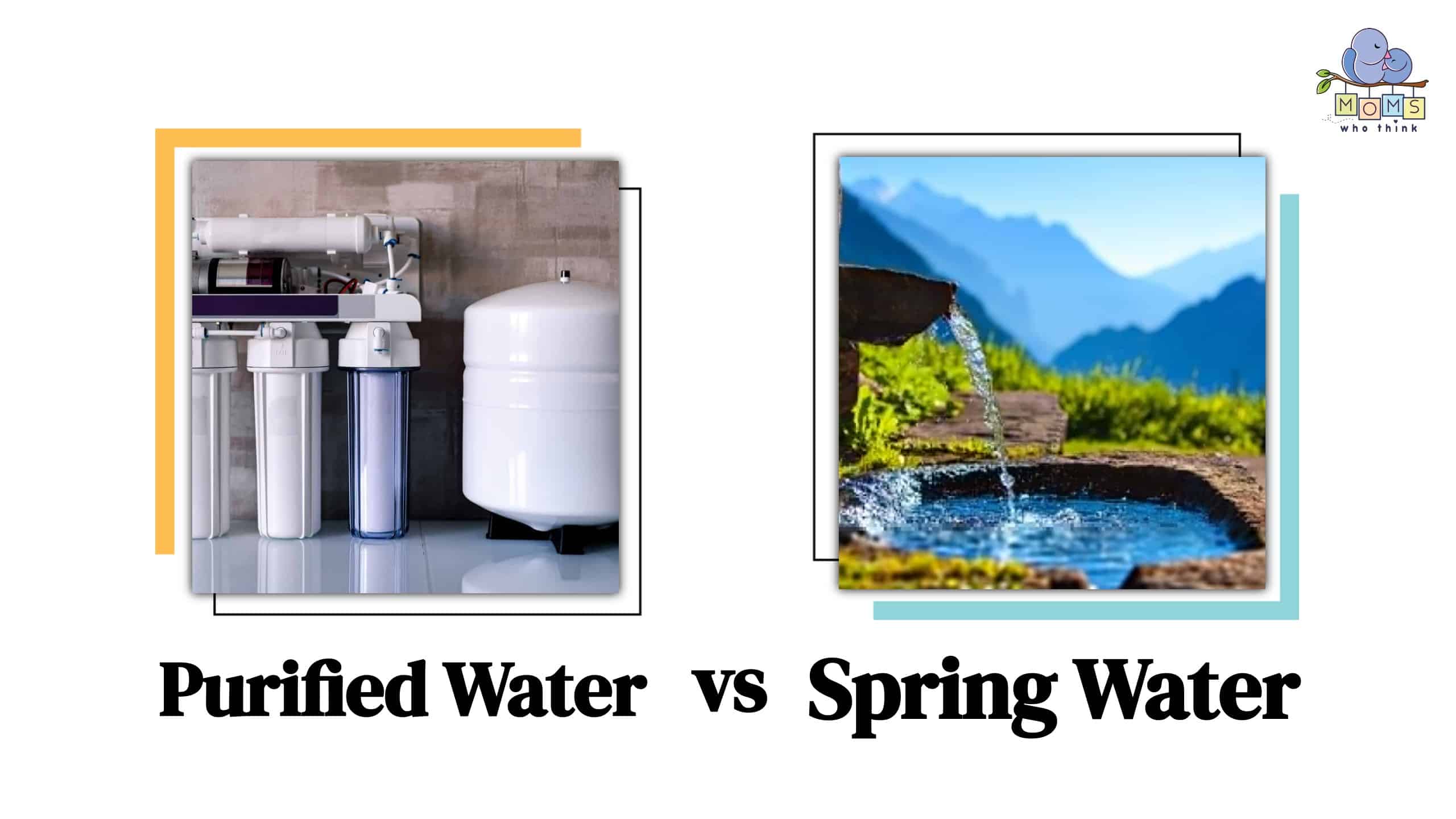 Purified Water vs Spring Water