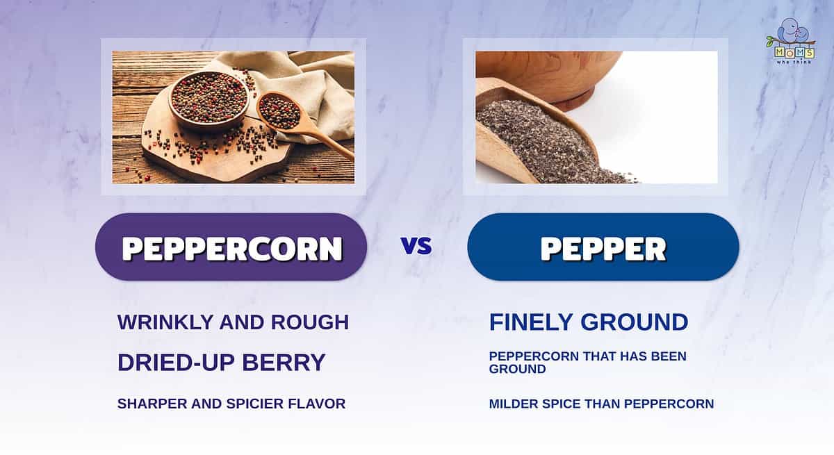 Infographic comparing peppercorn and black pepper.