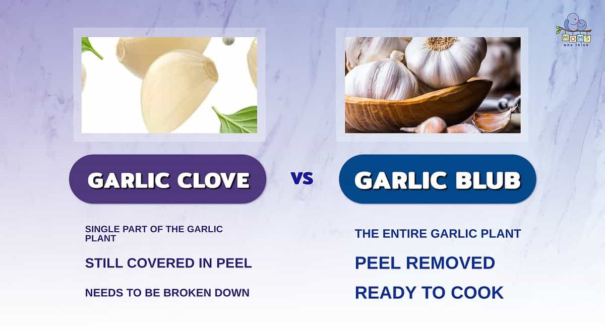 Garlic Clove vs Garlic Blub