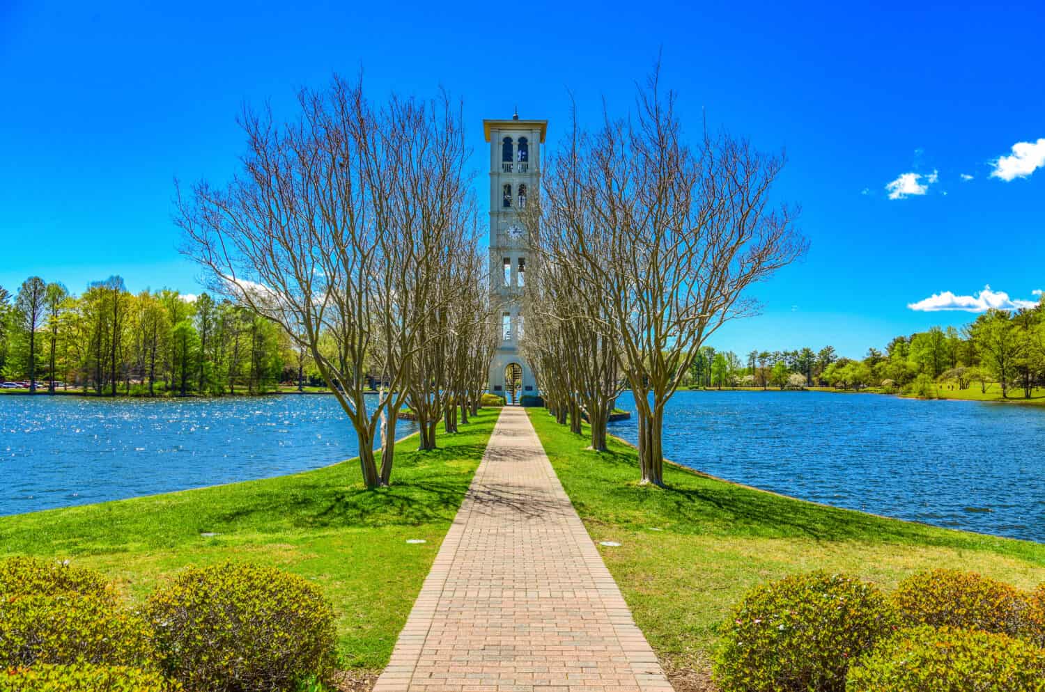 Furman Swan Lake and Bell Tower in Greenville, South Carolina