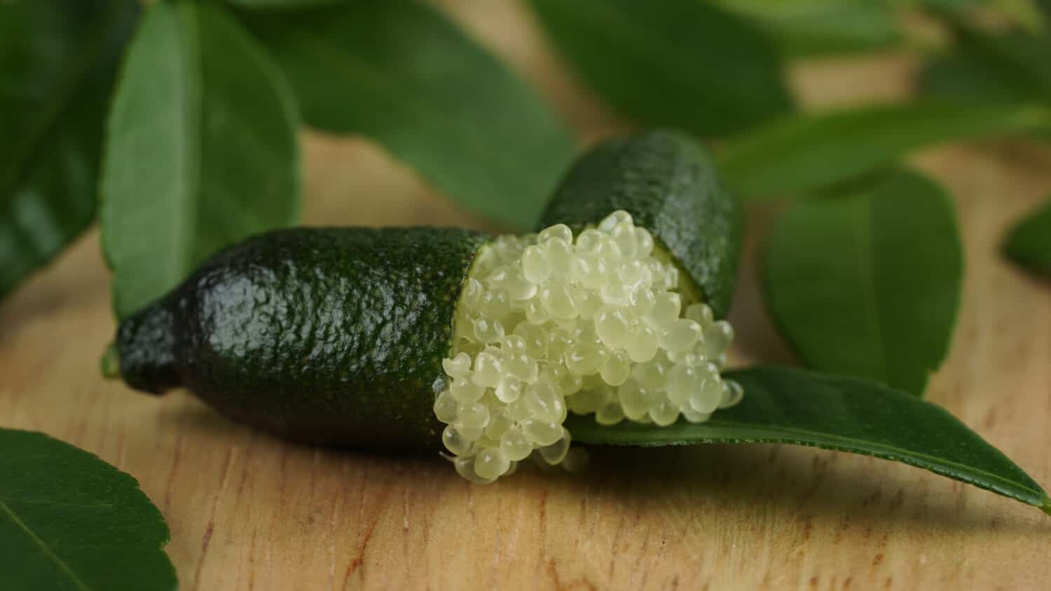 Fresh Australia finger limes or caviar limes with green leaves on wooden background. The finger lime is proving extremely popular in the world's top fine dining restaurants.