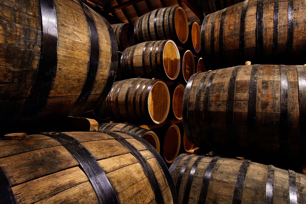 Rows of alcohol barrels in stock. Distillery. Cognac, whiskey, wine, brandy. Alcohol in barrels