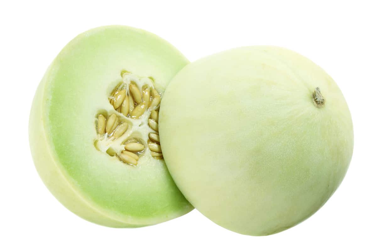 Honeydew Melon on White Background