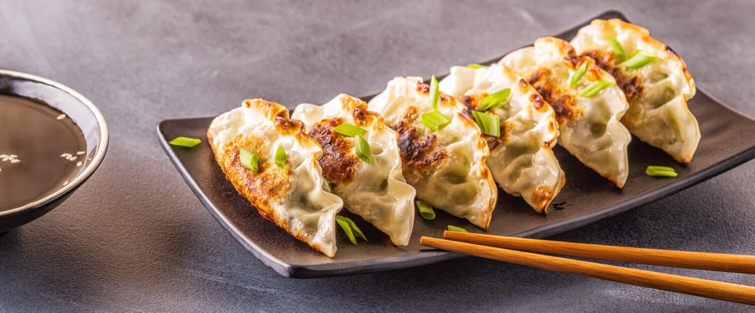 Gyoza or dumplings snack with soy sauce, selective focus, copy space.