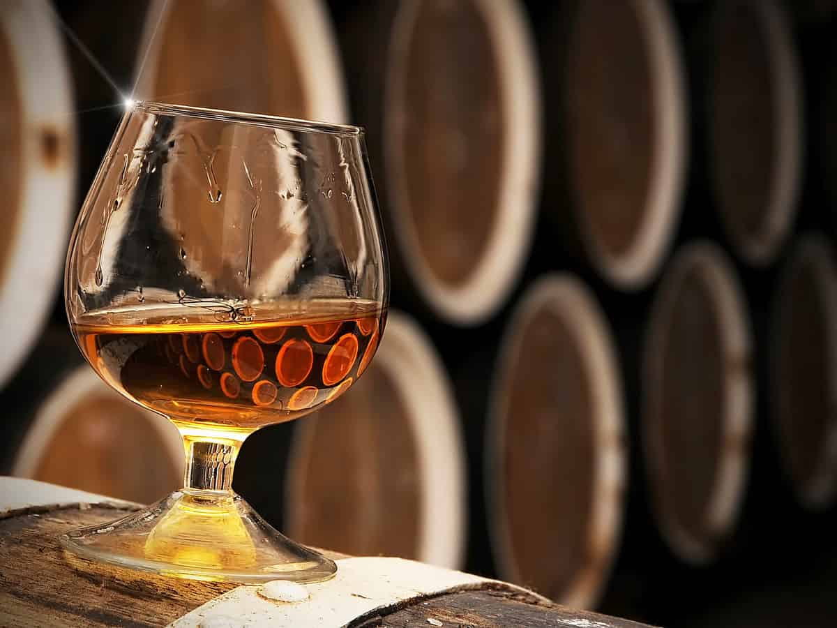 glass of brandy in the cellar with old barrels stacked in a row