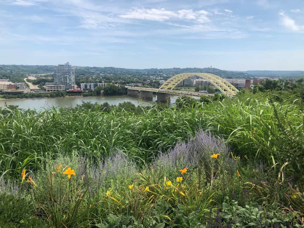 Cincinatti, Ohio, United States, a view of the city