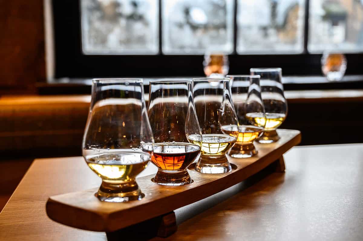 Collection of Scottish whisky, tasting glasses with variety of single malts or blended whiskey spirits on distillery tour in Scotland, UK