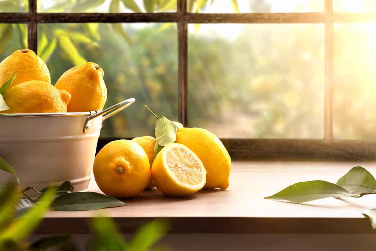 Basket full of lemons on kitchen with a window and a lemon grove in the background. Front view. Horizontal composition.