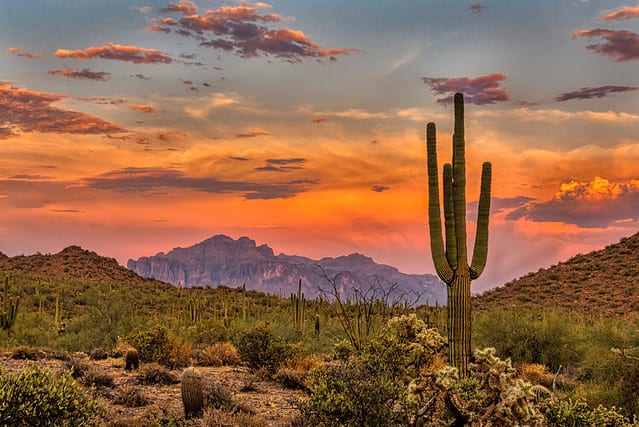 Sunset in the Sonoran Desert near Phoenix, Arizona