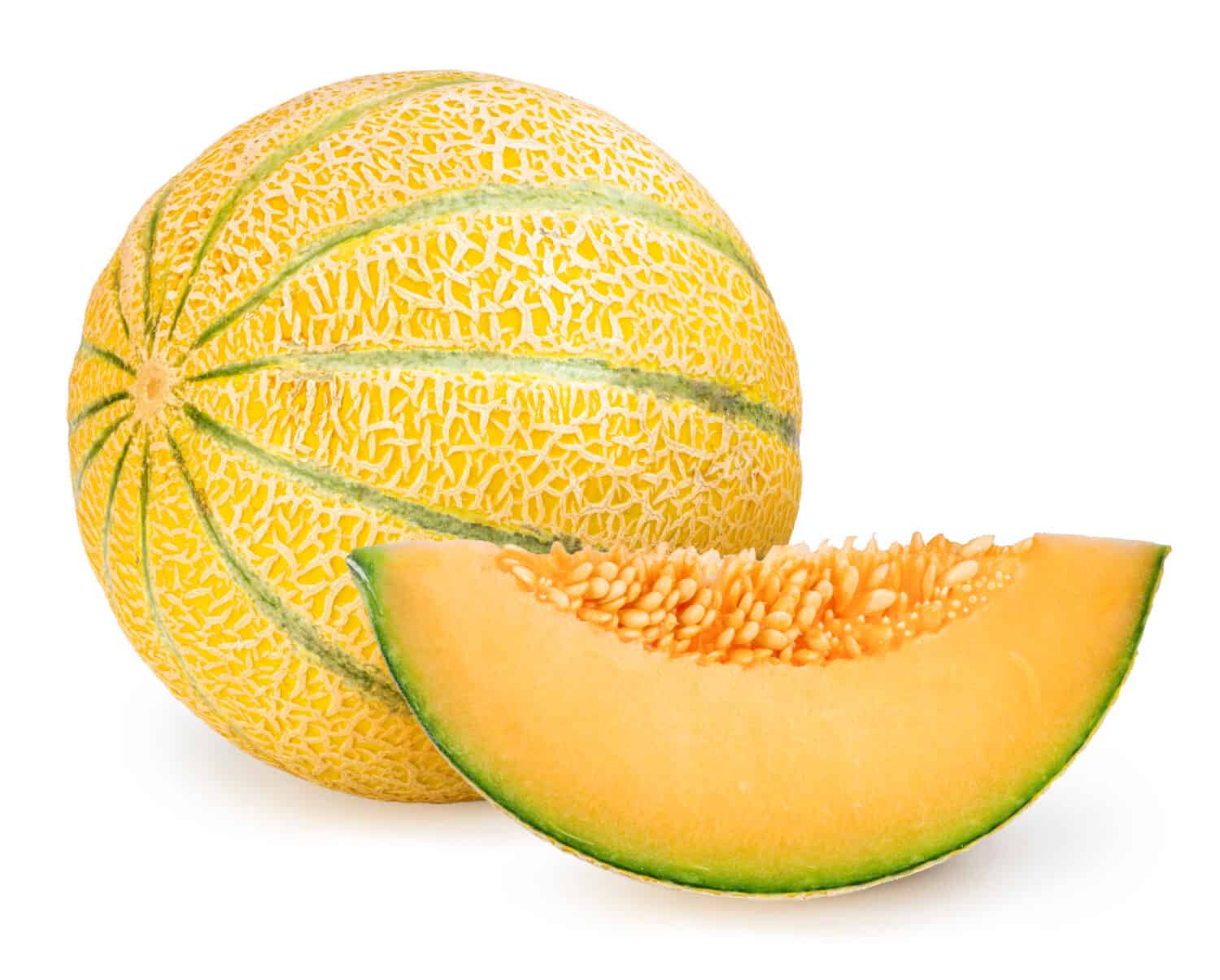 Yellow melon or cantaloupe melon with seeds isolated on white background, US Muskmelon on white background With clipping path.