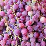 4. Classic Grape
