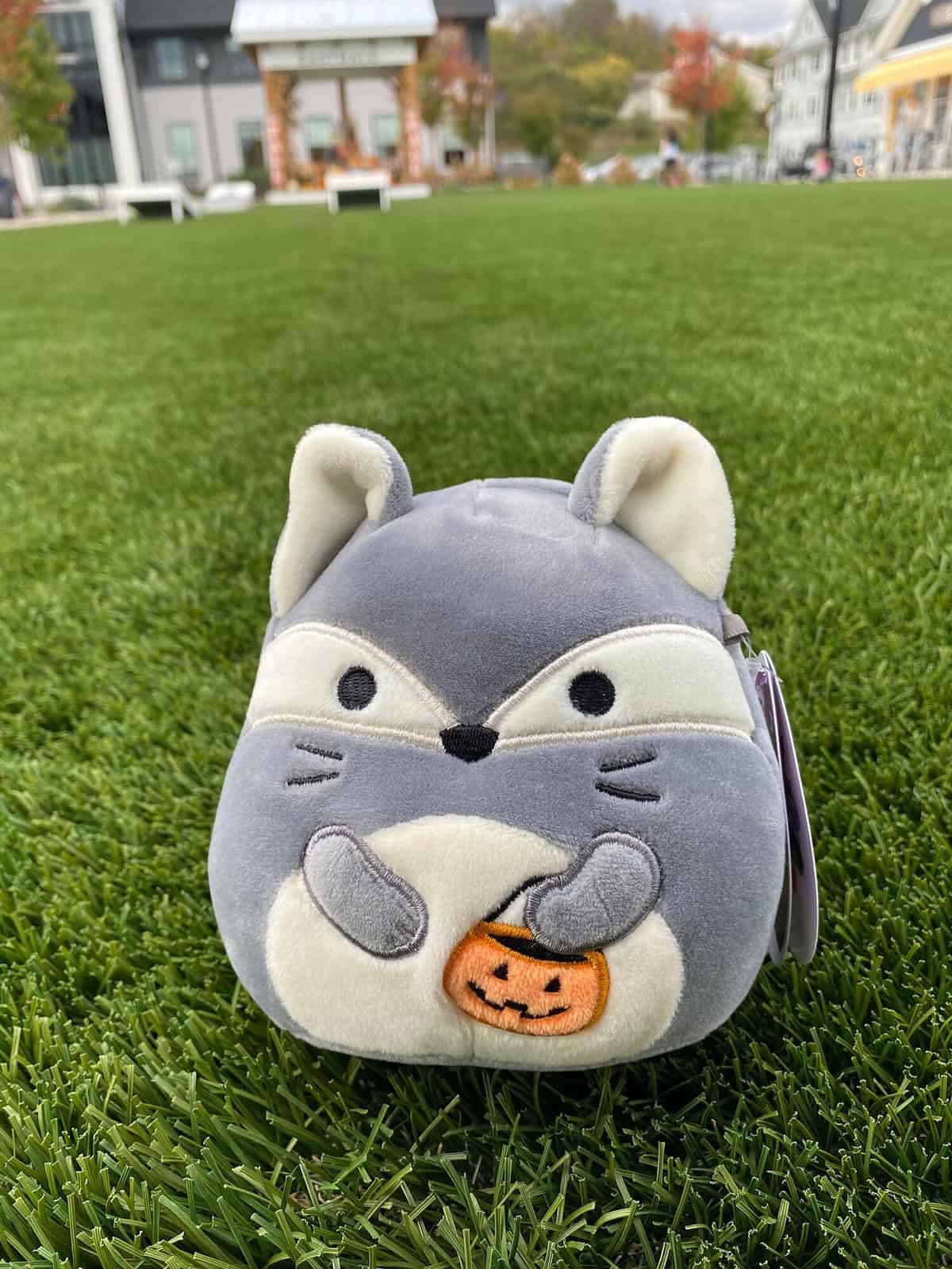 Fox squishmallow in the grass