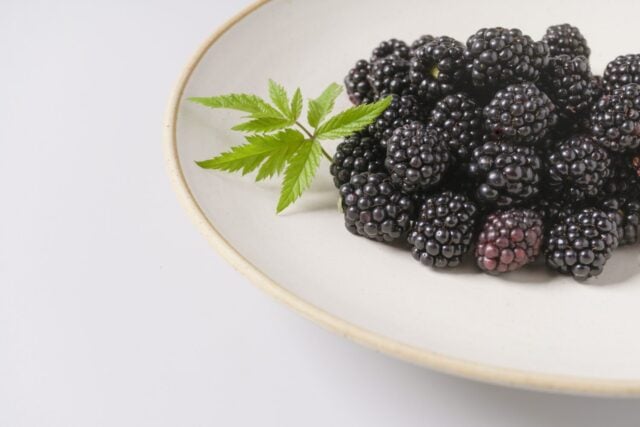 Close-up of raw fresh raspberry fruits with leaves on white dish.