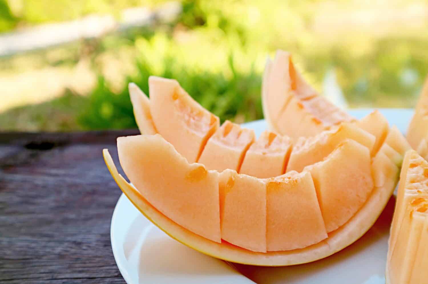 Plate of Slices of Juicy Fresh Ripe Cantaloupe Melon on the Garden Table