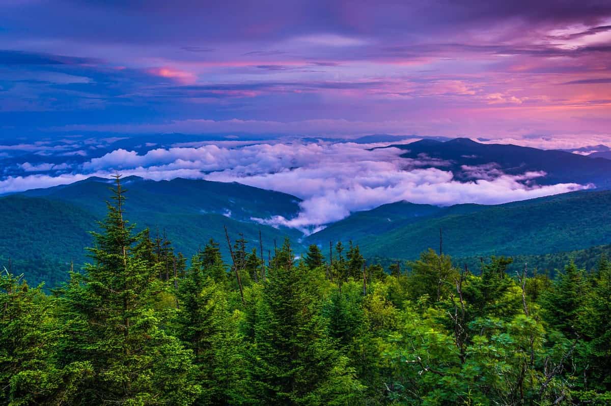 Low clouds in the valley at sunset, seen from Clingmans Dome, Great Smoky Mountains National Park, Tennessee