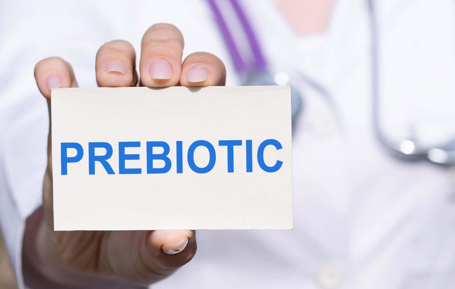 Doctor holding a card with text PREBIOTIC, medical concept