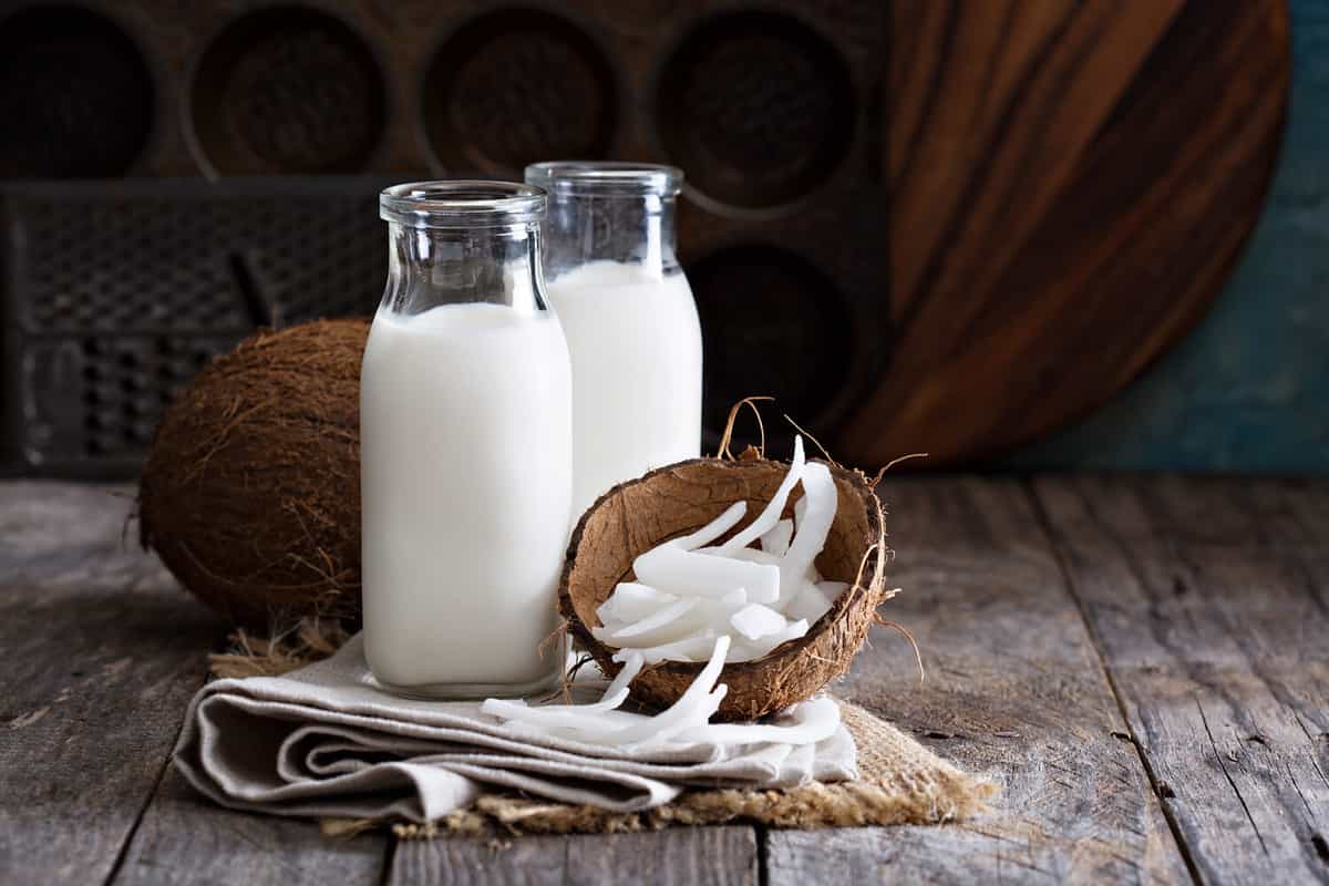 Coconut vegan milk non dairy in different bottles with copy space