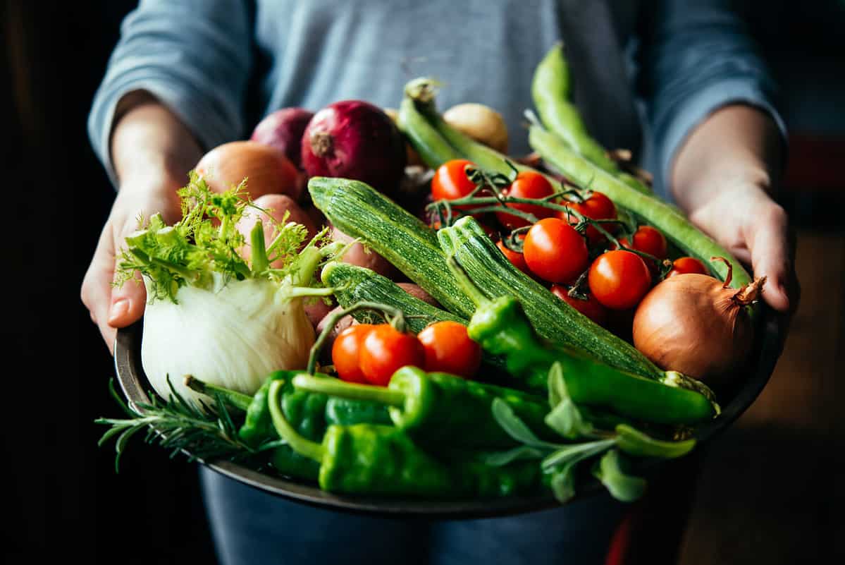 Hands holding big plate with different fresh farm vegetables. Autumn harvest and healthy organic food concept