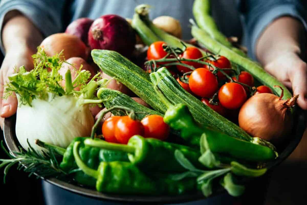 Hands holding big plate with different fresh farm vegetables. Autumn harvest and healthy organic food concept