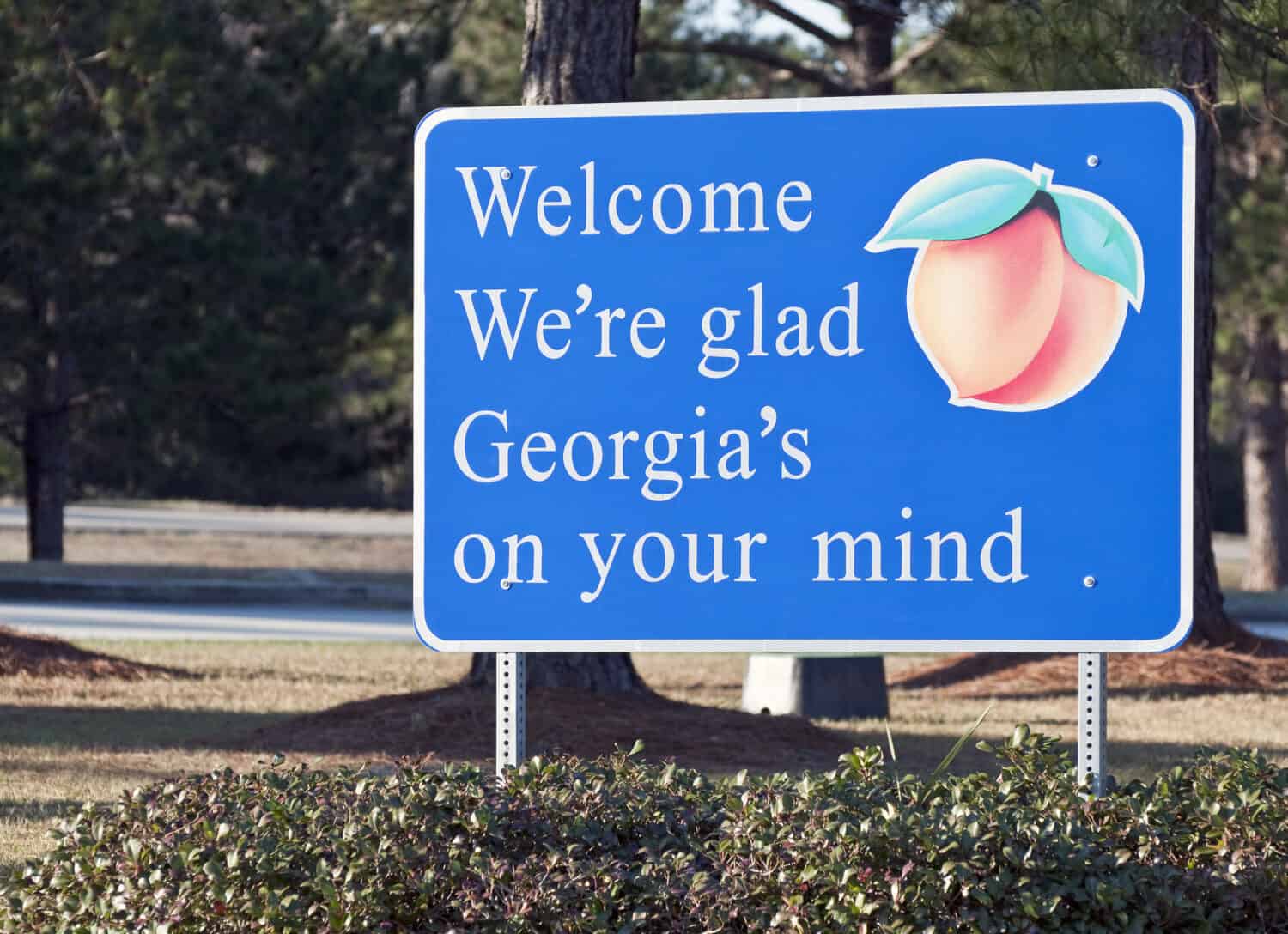 A welcome sign at the Georgia state line