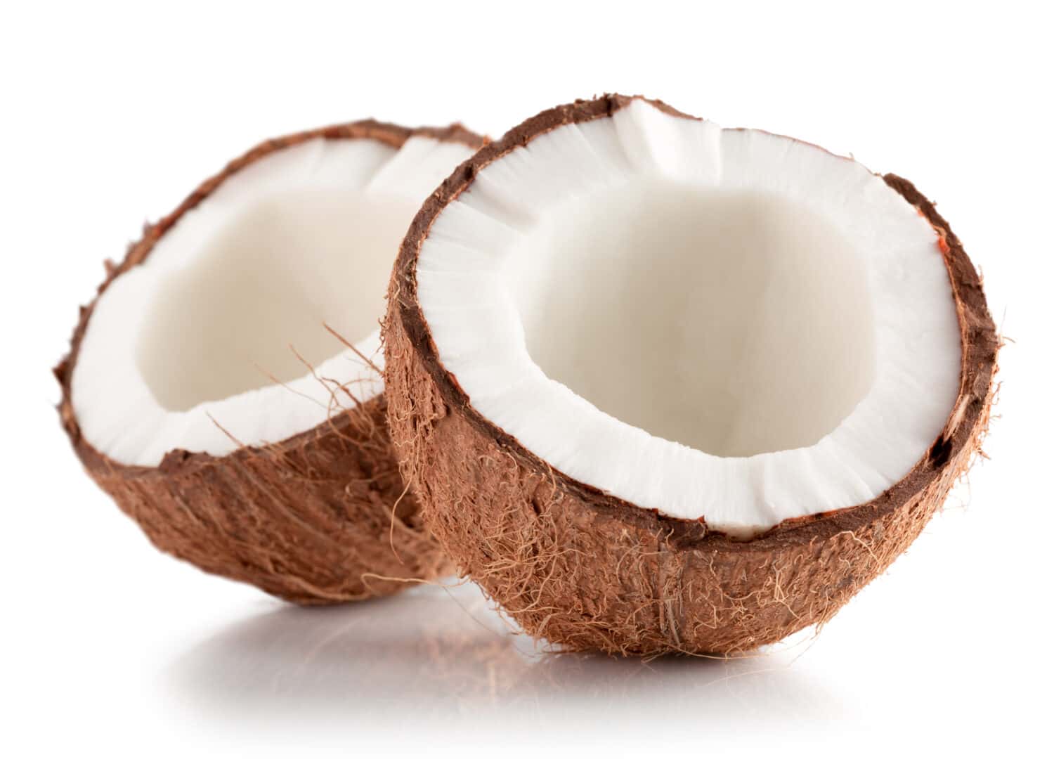 coconuts isolated on the white background