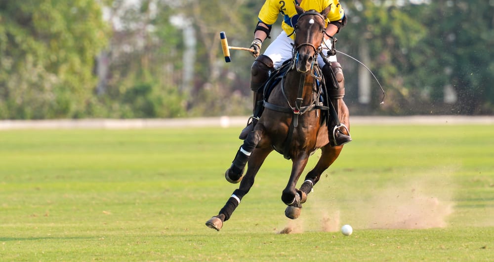 Polo Horse Player Riding To Control The Ball.