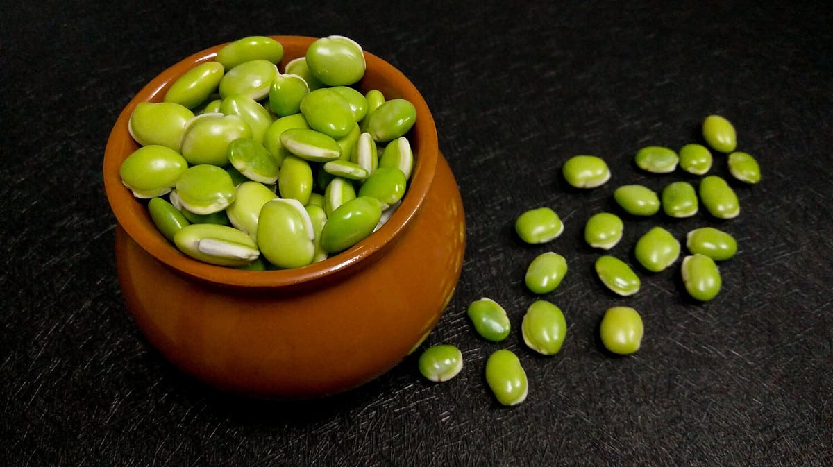 lima beans in the brown pot as food background