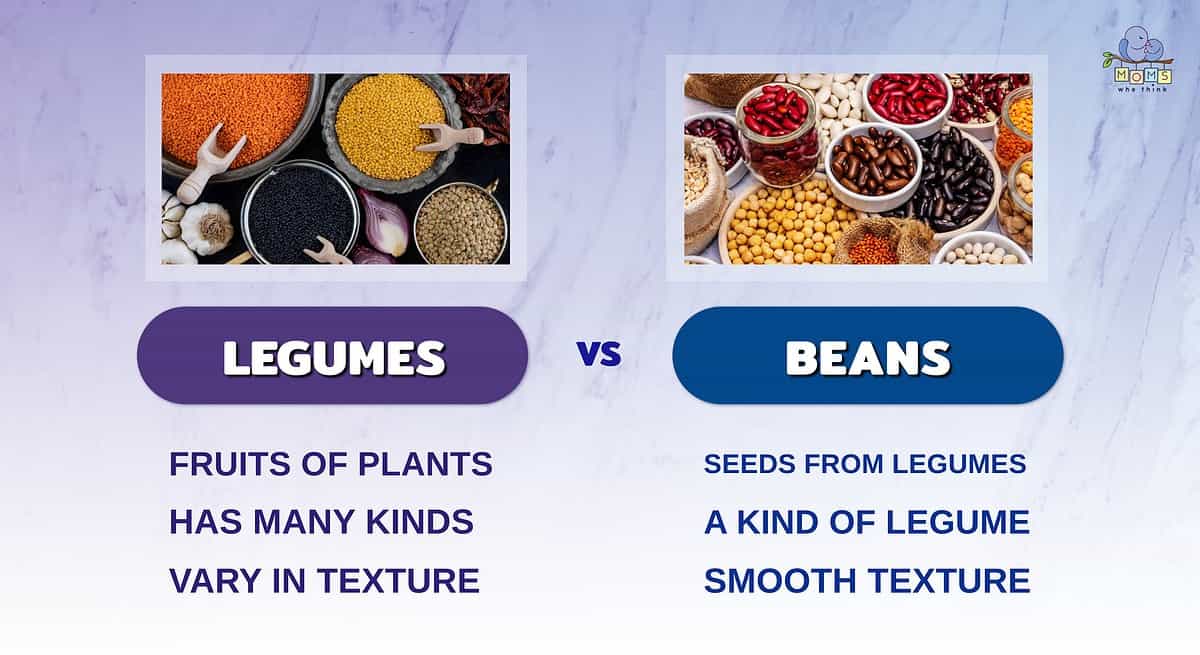 Infographic comparing legumes and beans.