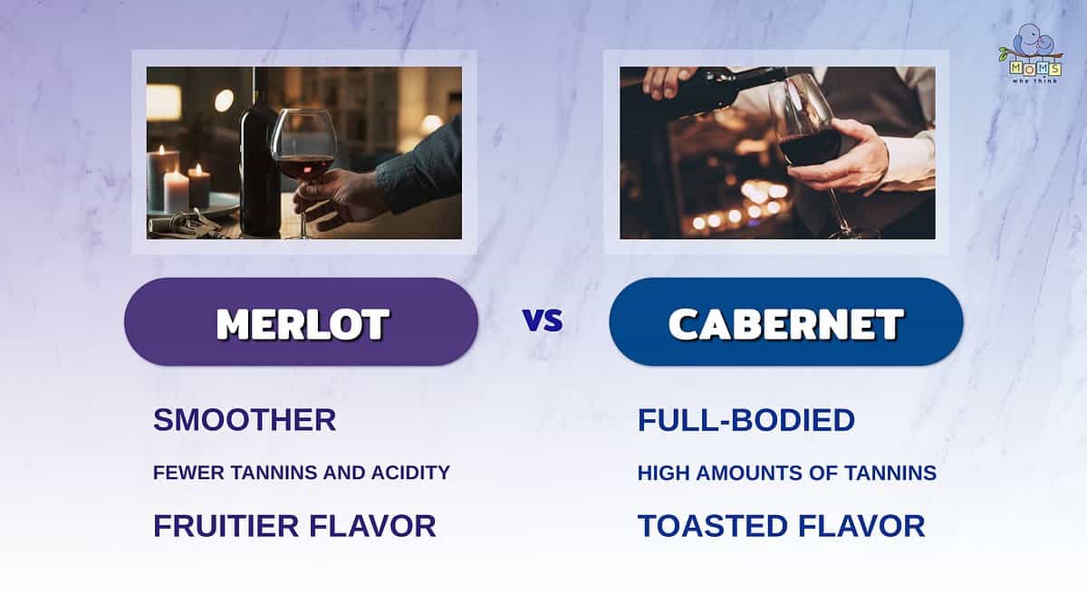 Infographic comparing Merlot and Cabernet.