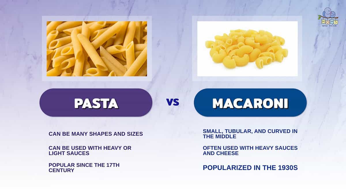 Infographic comparing pasta and macaroni.