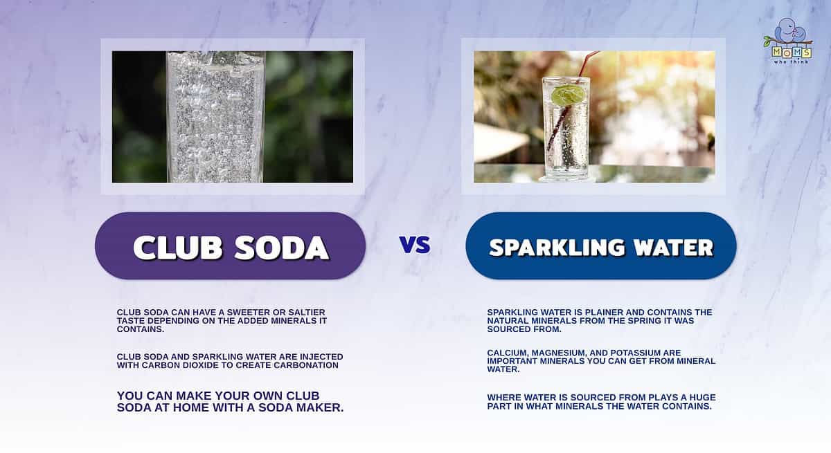 What's the Difference Between Club Soda, Seltzer, and Sparkling Mineral  Water?