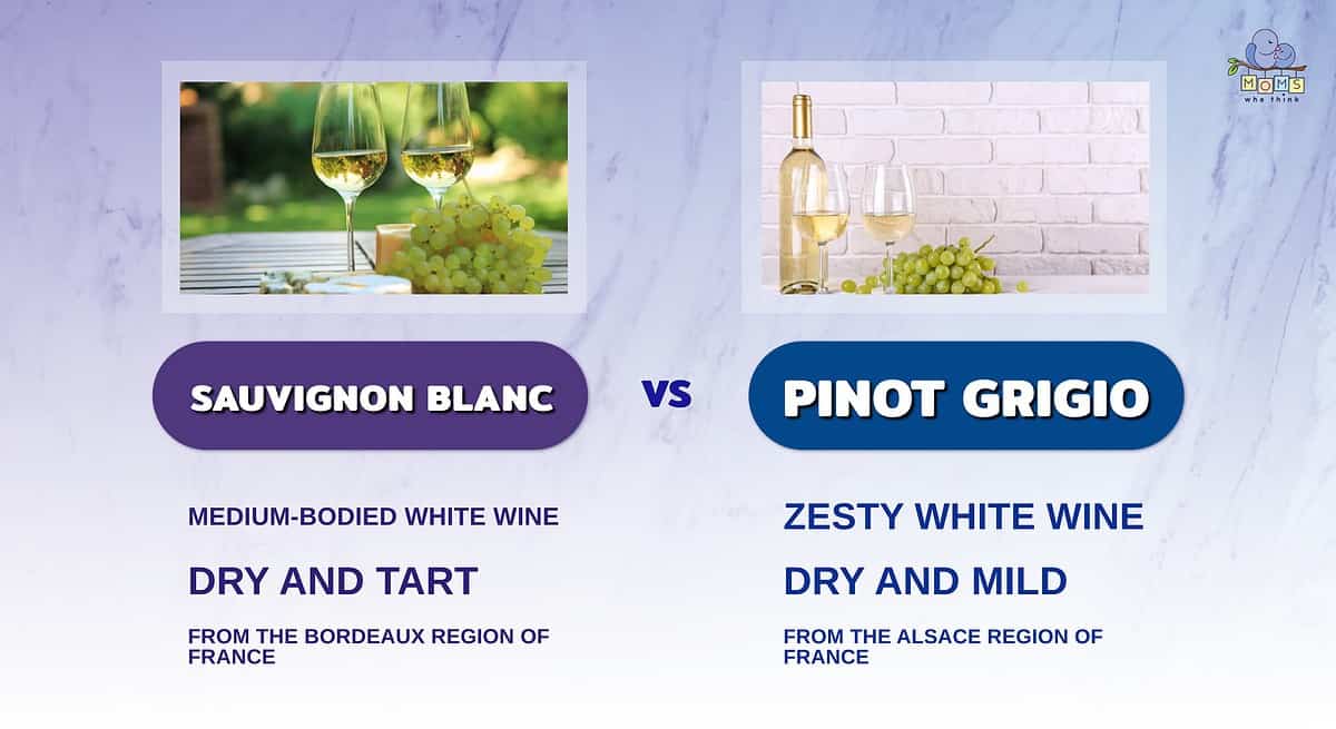 Infographic comparing Sauvignon Blanc and Pinot Grigio.