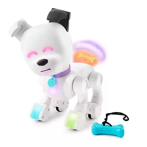 Dog-E by MINTiD Interactive Robot Dog