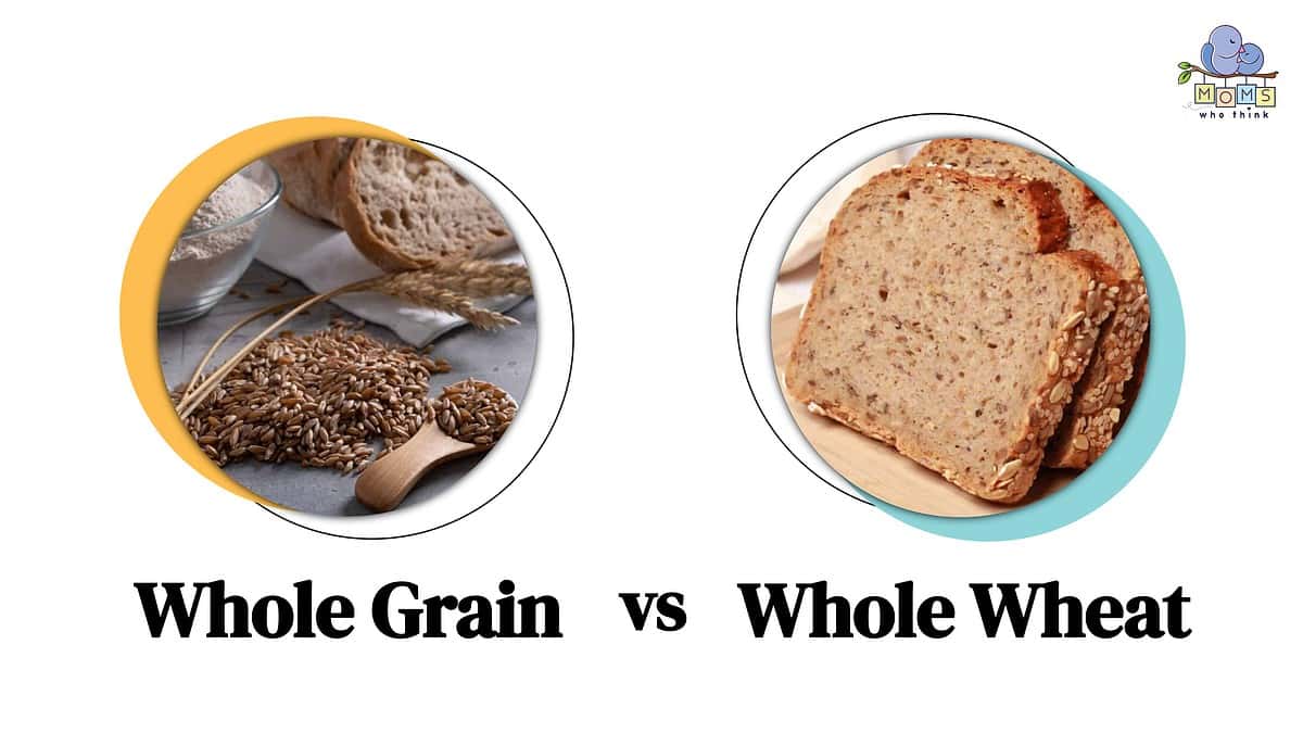 Whole Grain vs. Whole Wheat Which is Healthier & Key Differences