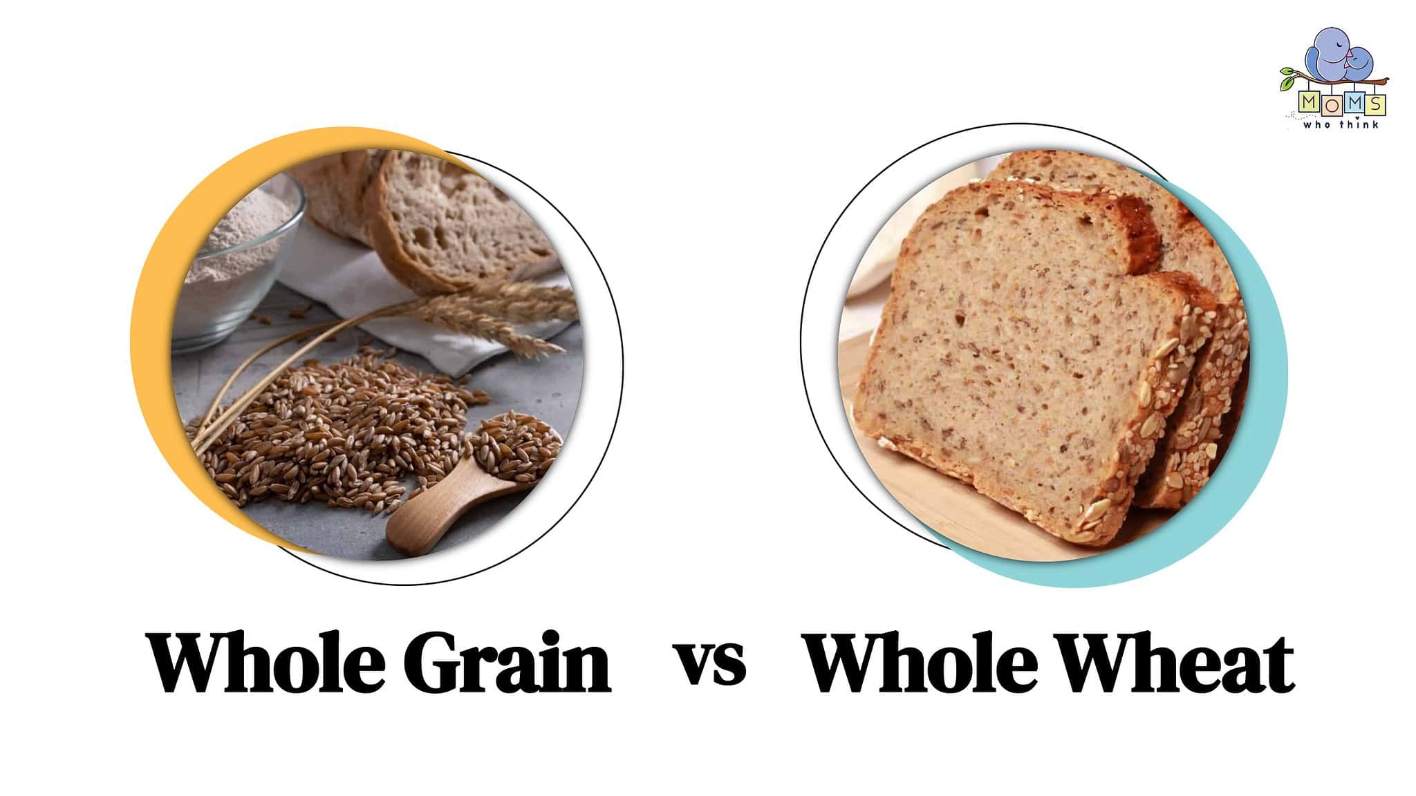 Whole Grain vs. Whole Wheat Which is Healthier & Key Differences