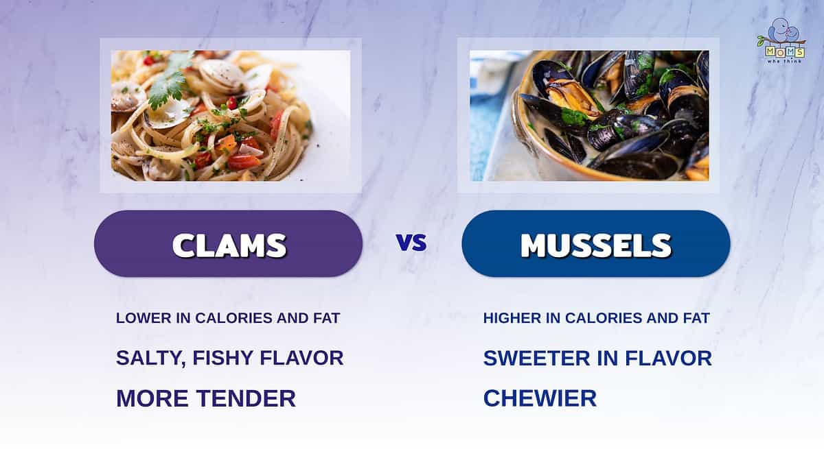 Infographic comparing clams and mussels.