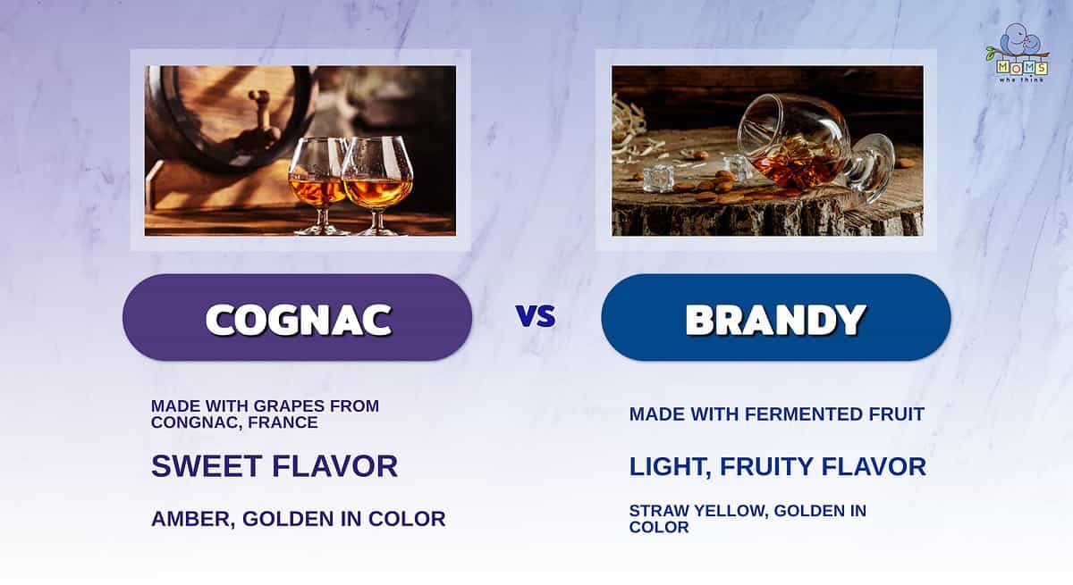 Infographic comparing cognac and brandy.