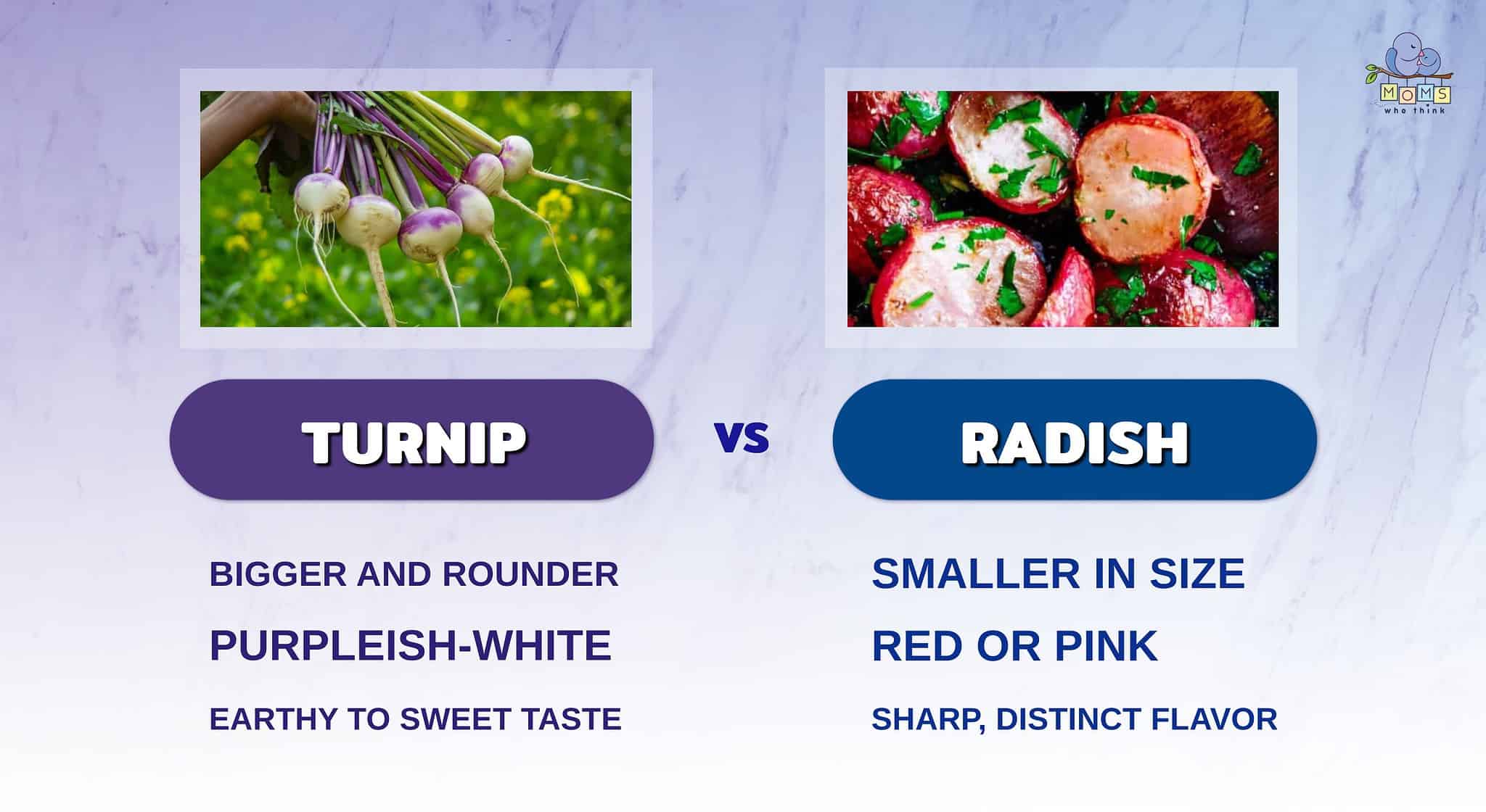 Turnip vs. Radish Nutritional Comparison & 3 Important Differences