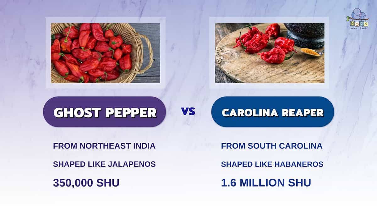 Comparison of the Ghost Pepper and Carolina Reaper. Both are probably too hot to eat.