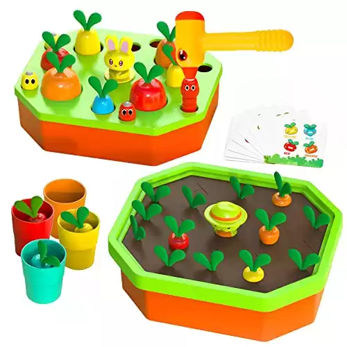 Toddlers Montessori Toys Carrot Color Sorting