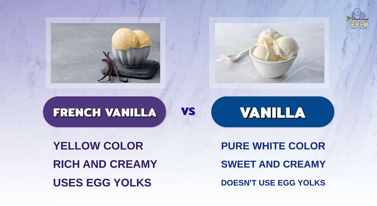 Infographic comparing French Vanilla and vanilla ice cream.