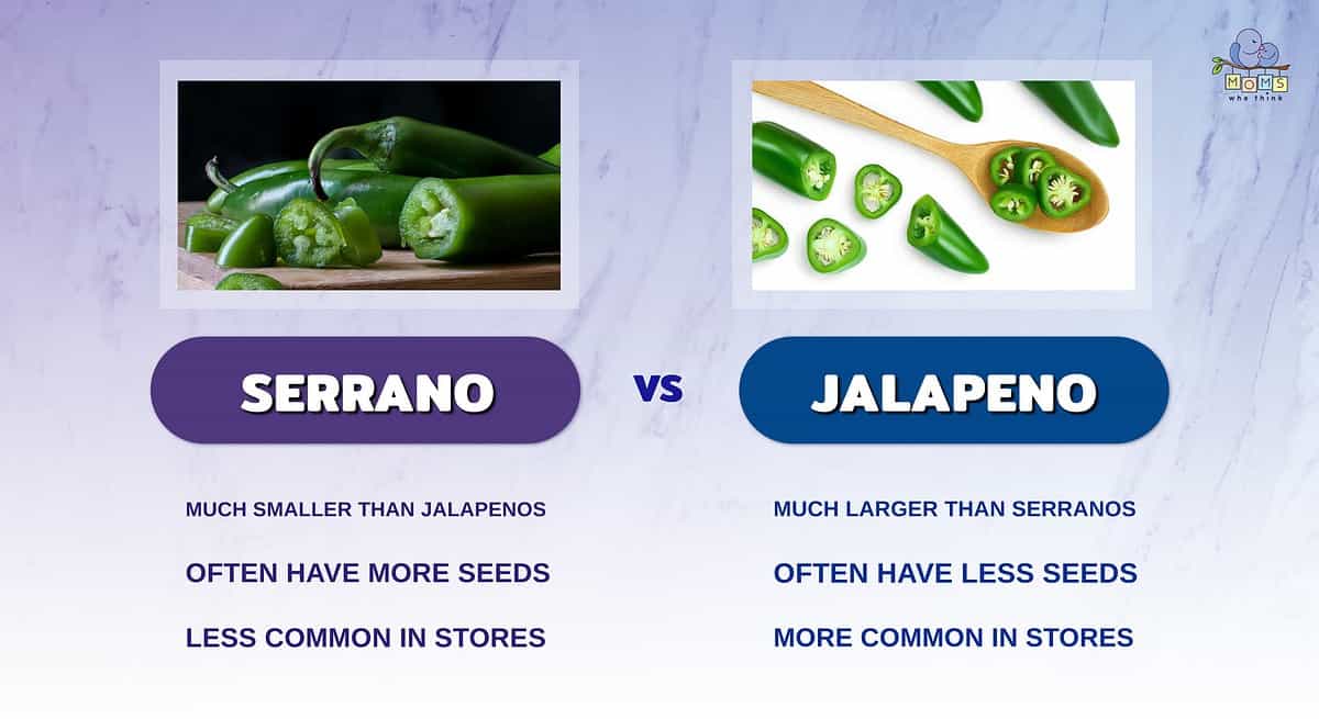 Infographic comparing serrano and jalapeno peppers.