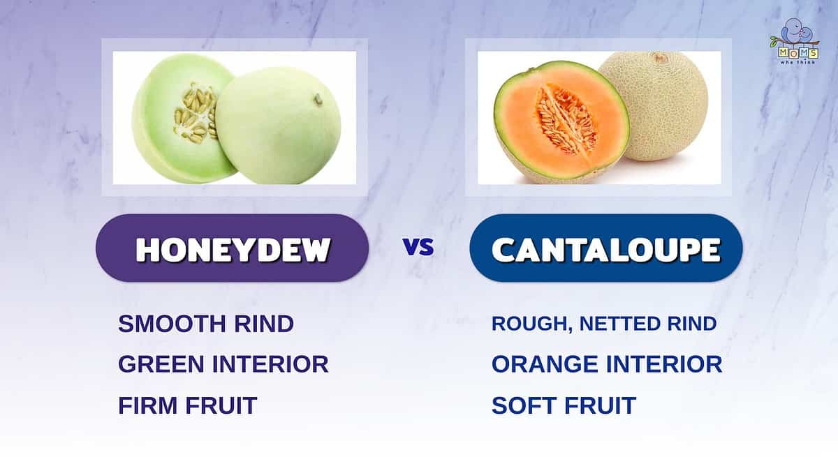 Infographic comparing honeydew and cantaloupe.