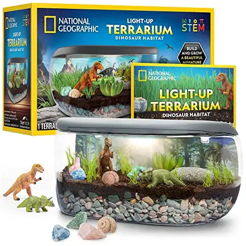 NATIONAL GEOGRAPHIC Light Up Terrarium Kit for Kids: Build a Dinosaur Habitat with Real Plants