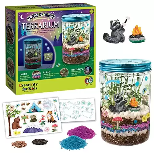 Creativity for Kids Grow ‘N Glow Terrarium Kit for Kids