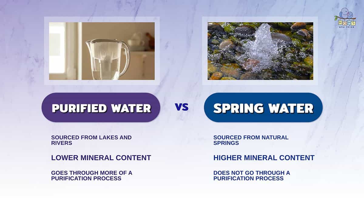 Infographic comparing purified and spring water.