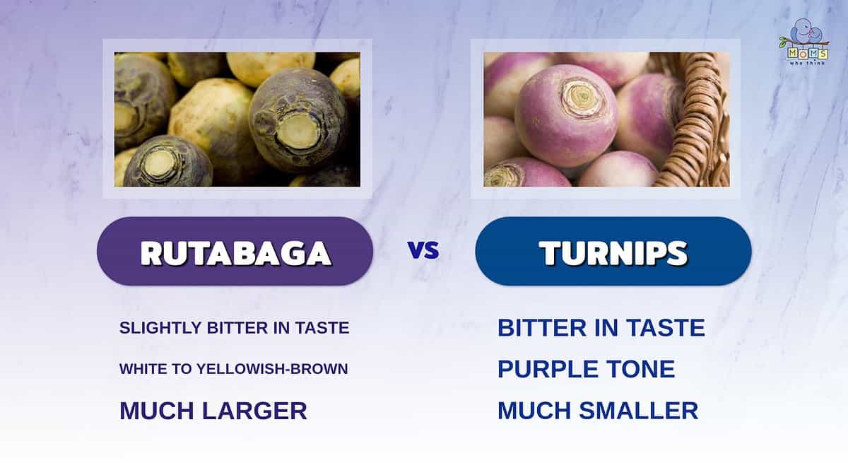 Infographic comparing rutabagas and turnips.