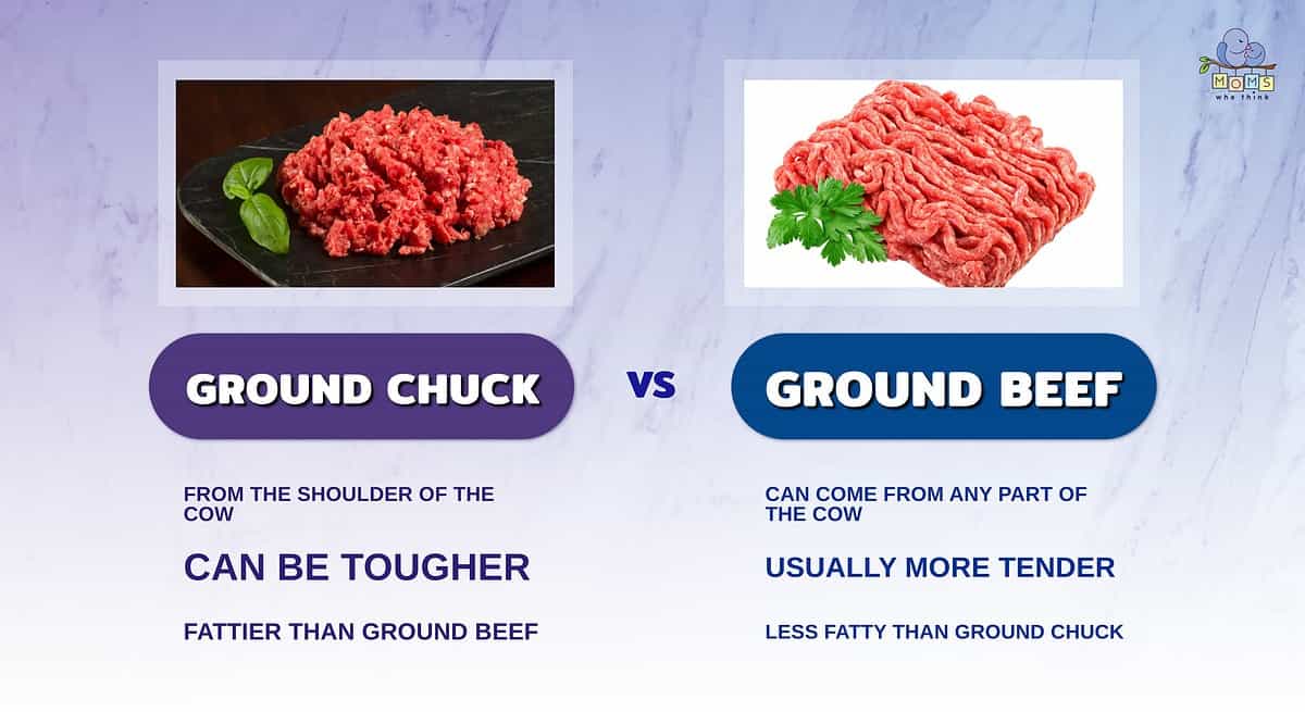 Infographic comparing ground chuck and ground beef.