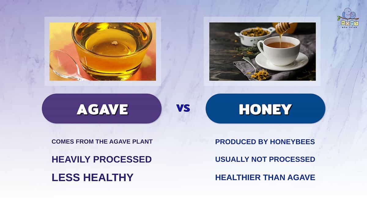 Infographic comparing agave and honey.